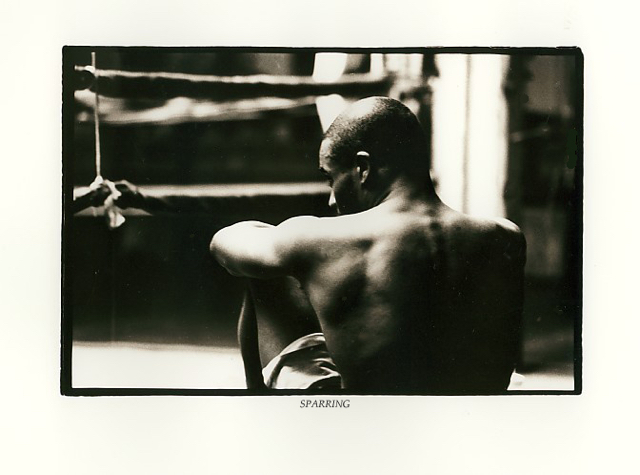 SPARRING.jpg